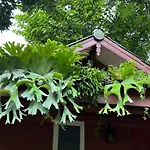 At Home Chiang Dao, Pooch Lovers