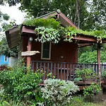 At Home Chiang Dao, Pooch Lovers