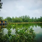 Calm At Bangphat