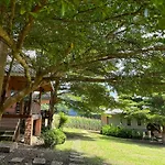 Fourtwoeight Pai Resort