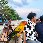 Yuyu Golden Beach