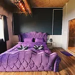 Exotic Koh Tao