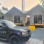 Crazy Monkey