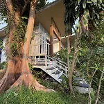 Beach Jungle