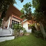 Beach Jungle
