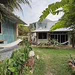 Beach Jungle