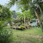 Beach Jungle