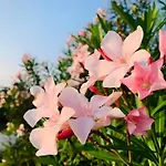 Pingview Villa Resort