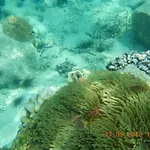 Ko Kut Ao Phrao Beach Resort