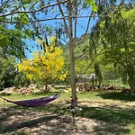 Jing Jo Boutique Bungalow