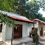 Frog Beach House