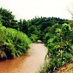 Umphangburiresort