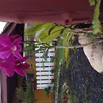 My Home Resort