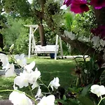 Rimthan Color Cottage