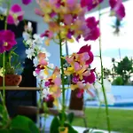 Mango Beach Resort Thailand