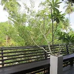 Panviman Amphawa Garden Resort