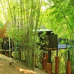 Rai Saeng Arun