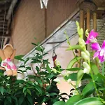 Smile World & Smile Home