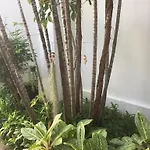 Sirin Hotel Hua Hin
