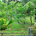 Aliyah Garden House