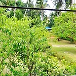 Aliyah Garden House