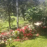 Phuoobfa Resort