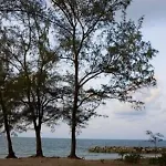 Hadsangchan Resort