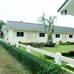 Let\'S Gold Valley