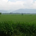 Rico Resort