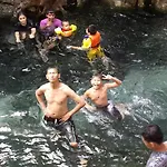 Dion Forest Resort