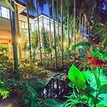 Oasis Hakuna Matata