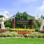 Nan Valley Resort