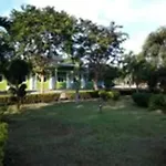 The Palm Village
