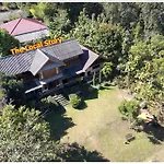 The Local Story Resort