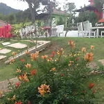Foresta Hill Resort