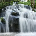 Phurua Resort