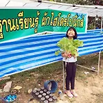 Go Green Resort