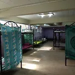 Loro Loco 2
