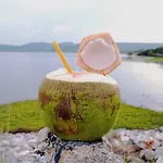 Palmchwa Resort