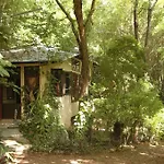 Momchailai Forest Retreat