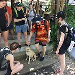 Khao Sok Homestay Resort