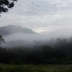 Red Z Cool Mountain