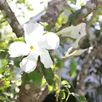 Moeimanee Resort