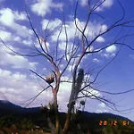Areeya Phuree Resort Thaton