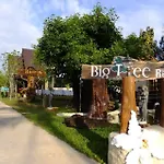 Maiyai Resort - Big Tree