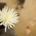 Baan Manu Chang