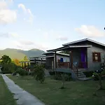 Phangan P10