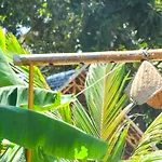 Forra Dive Resort Pattaya Beach