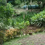 Baan Til Dao Pround Fah