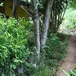 Baan Til Dao Pround Fah